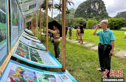 
                    广西工业城市柳州打造公园城市 “解锁”生态游园新玩法
               